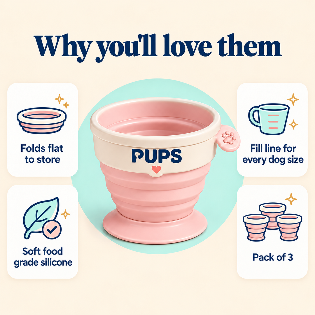 Collapsible cup details