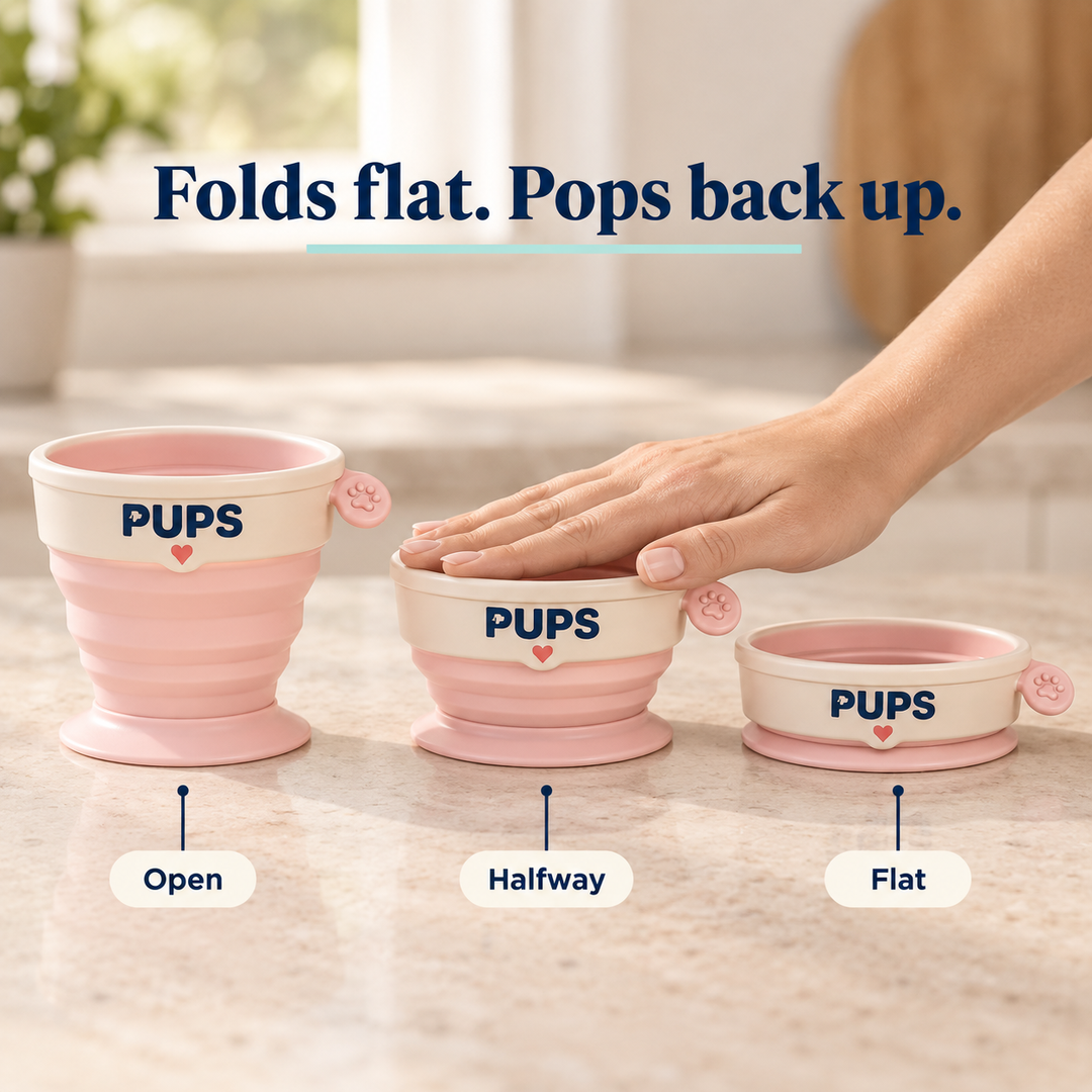 Folds flat for the freezer