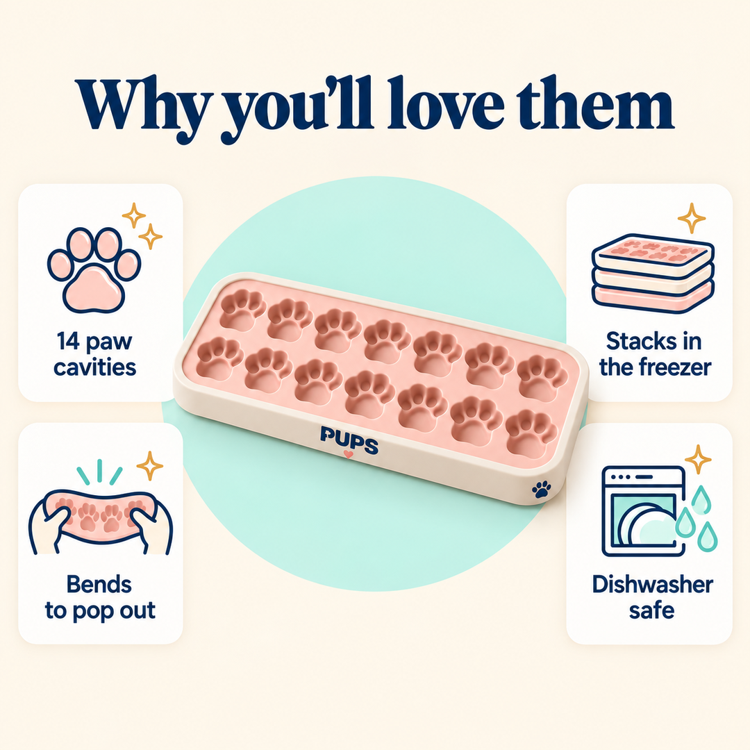 Paw tray details