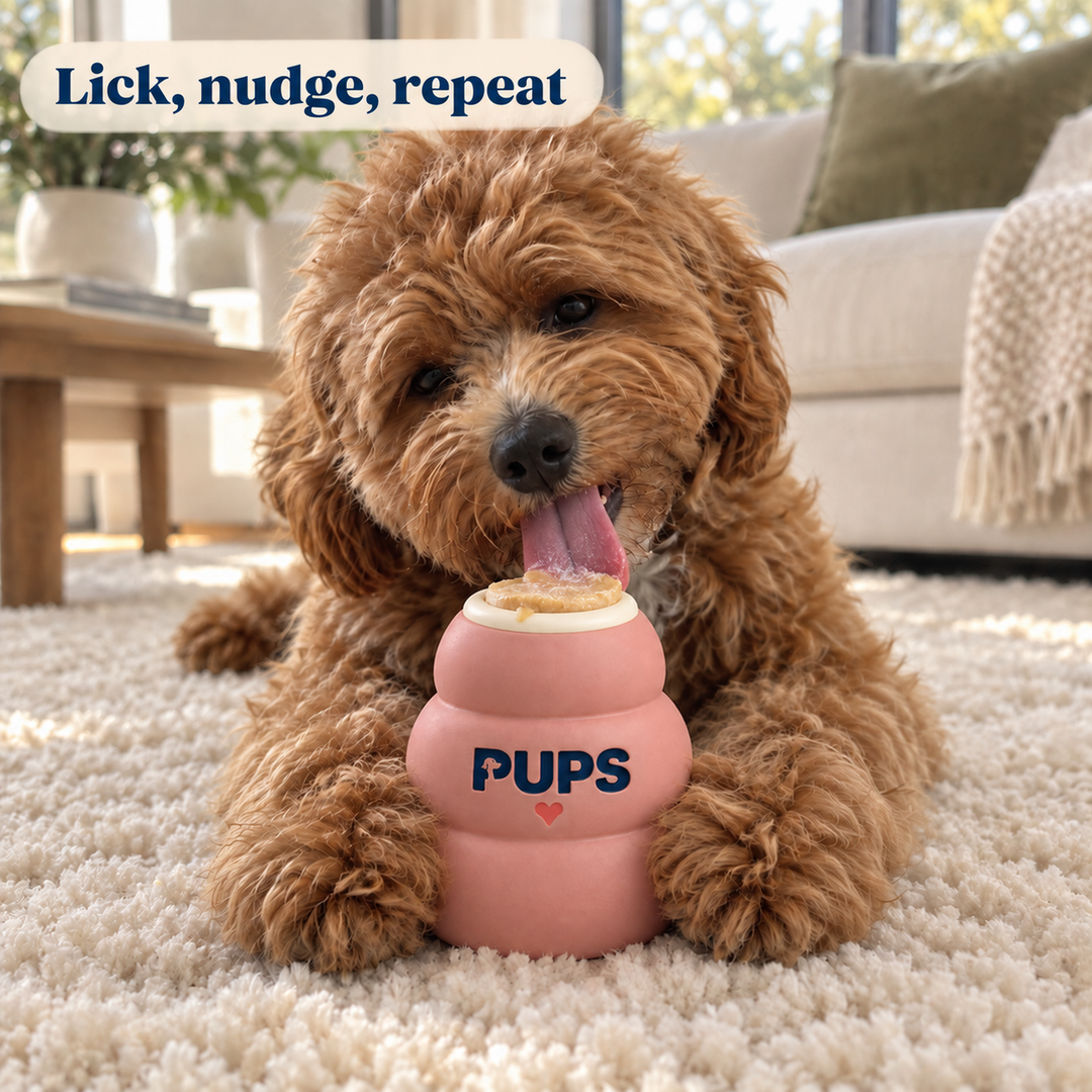 Charlie with a frozen PUPS treat toy