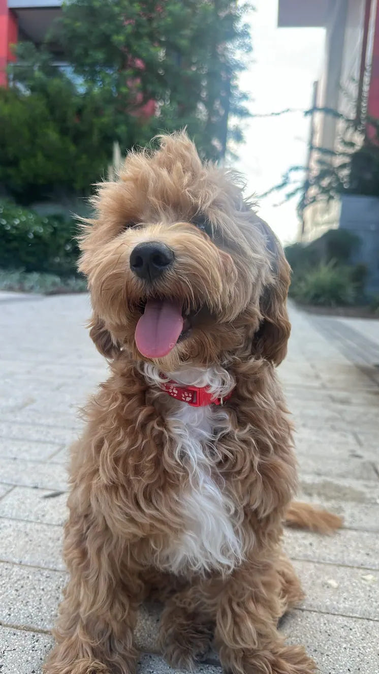 Charlie