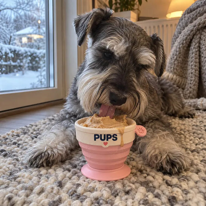 Pepper, schnauzer