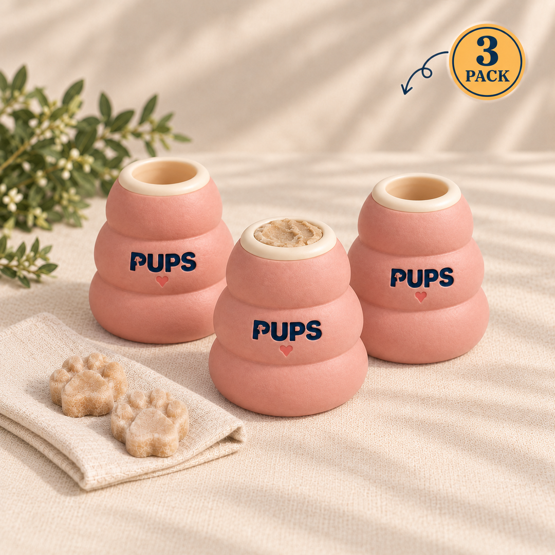 Treat Toys 3 pack