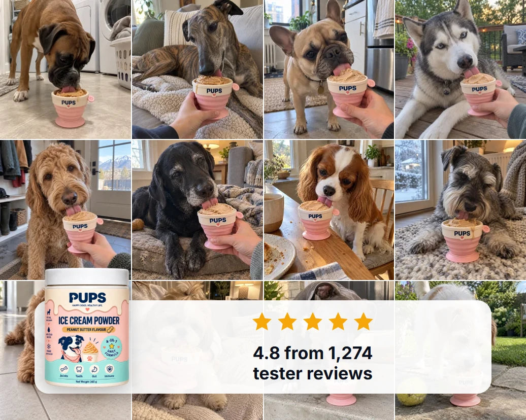 Owners and their dogs licking PUPS cups of frozen peanut butter ice cream, with the PUPS tub and 4.8 from 1,274 tester reviews