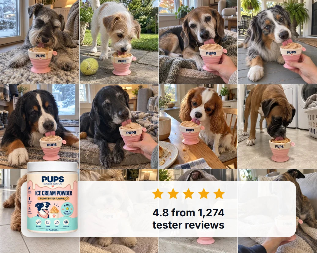 Owners and their dogs licking PUPS cups of frozen peanut butter ice cream, with the PUPS tub and 4.8 from 1,274 tester reviews