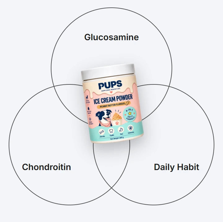 Glucosamine, chondroitin and the daily habit around the PUPS tub