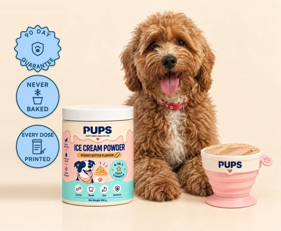Charlie, our red cavapoo taste tester, sitting between the PUPS Ice Cream Powder tub and a PUPS cup of frozen peanut butter ice cream, with three badges down the left edge: 90 DAY GUARANTEE, NEVER BAKED and EVERY DOSE PRINTED