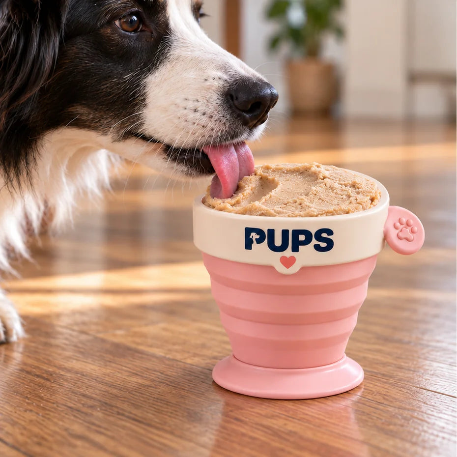 A border collie licking a PUPS cup of frozen peanut butter ice cream filled to the rim