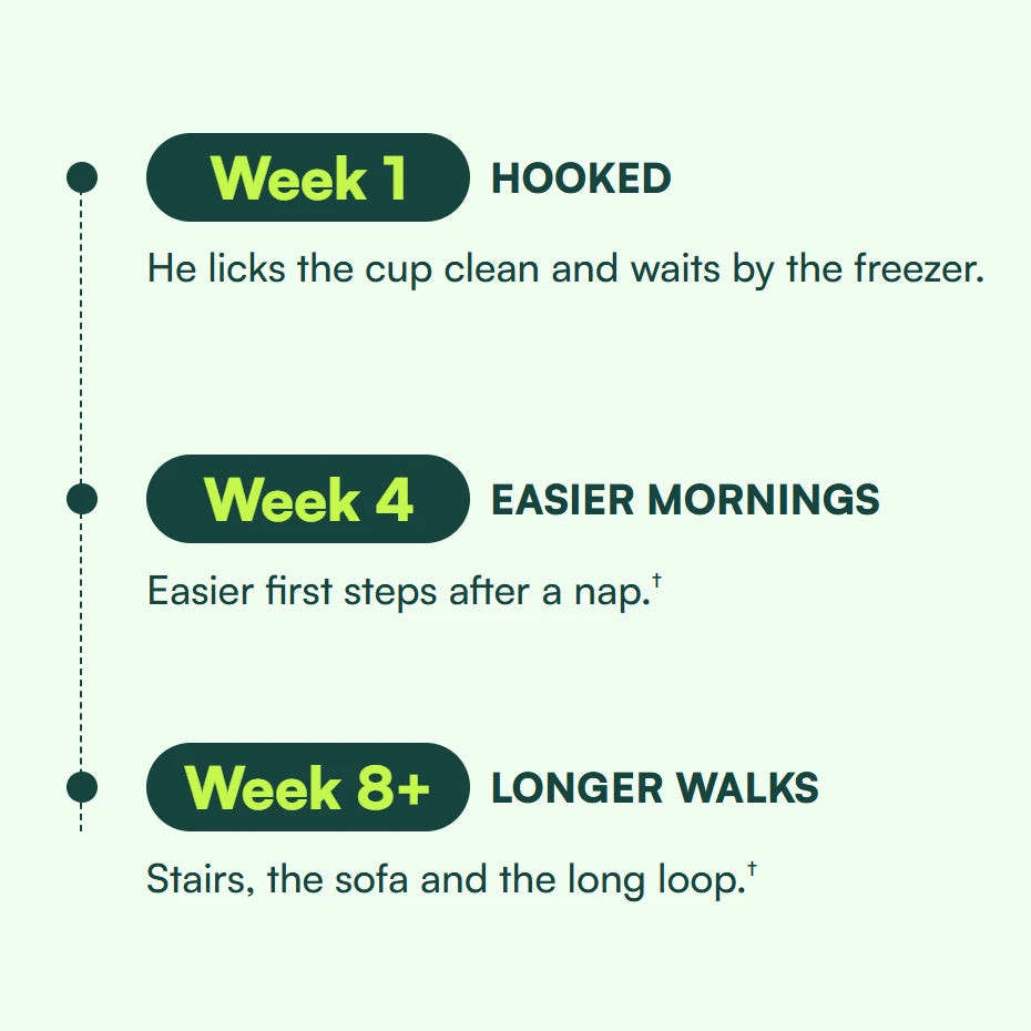 A 3 step timeline. Week 1, HOOKED: He licks the cup clean and waits by the freezer. Week 4, EASIER MORNINGS: Easier first steps after a nap. Week 8+, LONGER WALKS: Stairs, the sofa and the long loop.