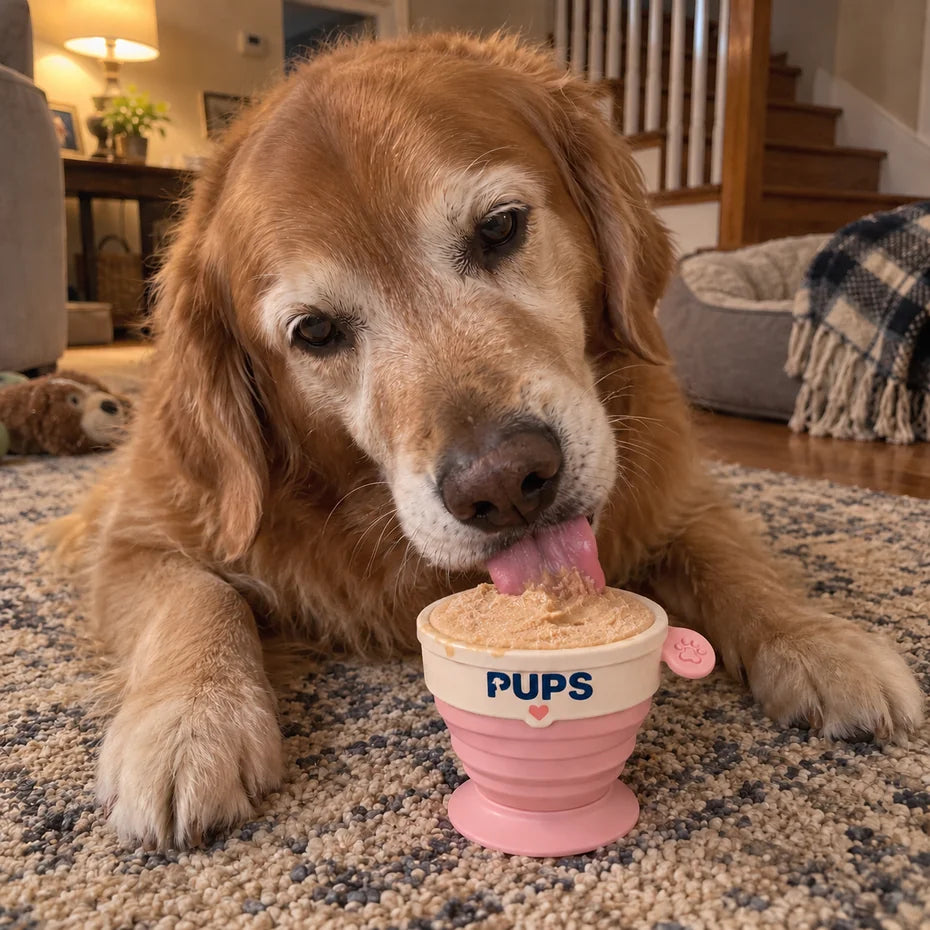 A senior golden retriever with a gray muzzle lying on the living room rug, licking a PUPS cup of frozen peanut butter ice cream filled to the rim