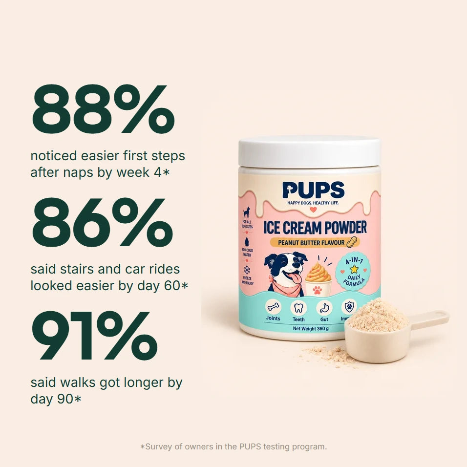 88% noticed easier first steps after naps by week 4, 86% said stairs and car rides looked easier by day 60, 91% said walks got longer by day 90, beside the PUPS Ice Cream Powder tub. Survey of owners in the PUPS testing program.