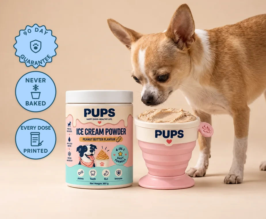 A small tan and white chihuahua sniffing a PUPS cup of frozen peanut butter ice cream beside the PUPS Ice Cream Powder tub on a warm beige backdrop, with three badges down the left edge: 90 DAY GUARANTEE, NEVER BAKED and EVERY DOSE PRINTED
