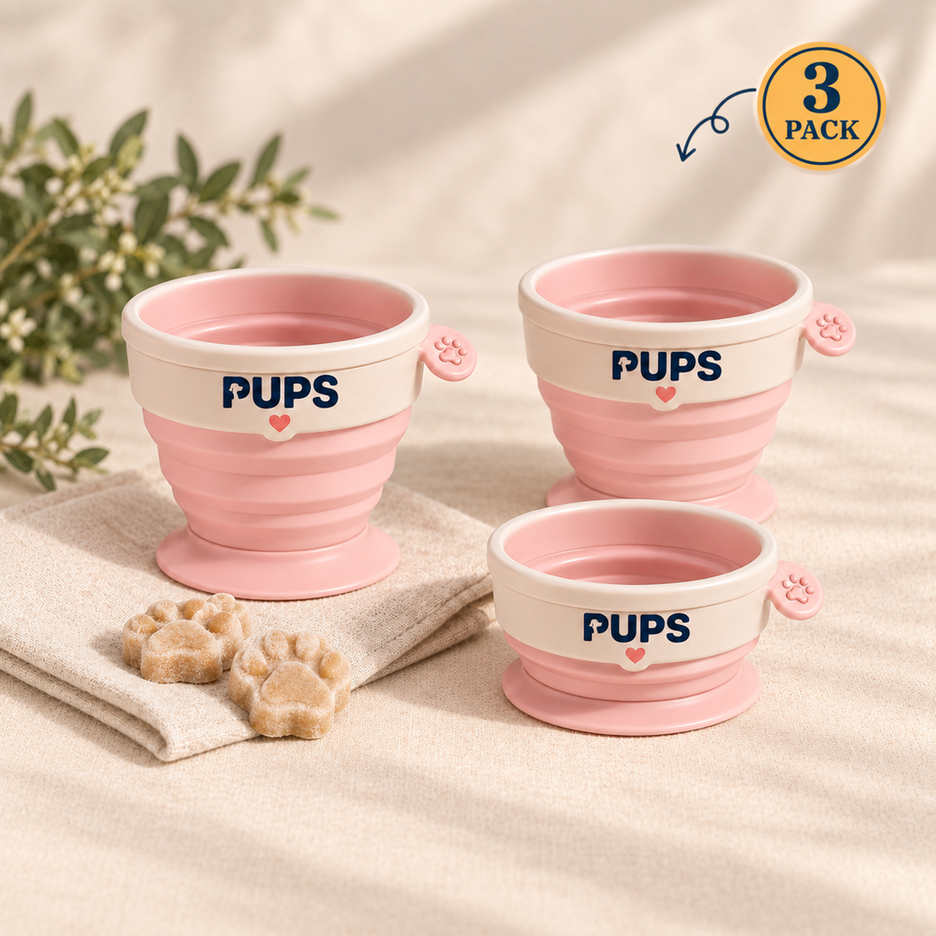 Collapsible Cups 3 pack