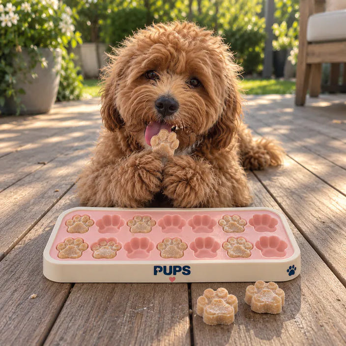 Charlie with the trays