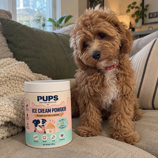 Charlie with PUPS Ice Cream Powder