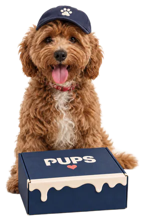 Charlie with a PUPS box