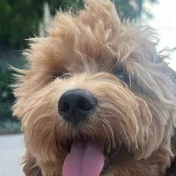 Charlie