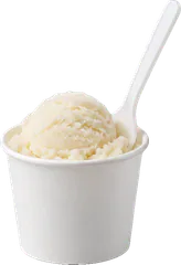 Plain dog ice cream