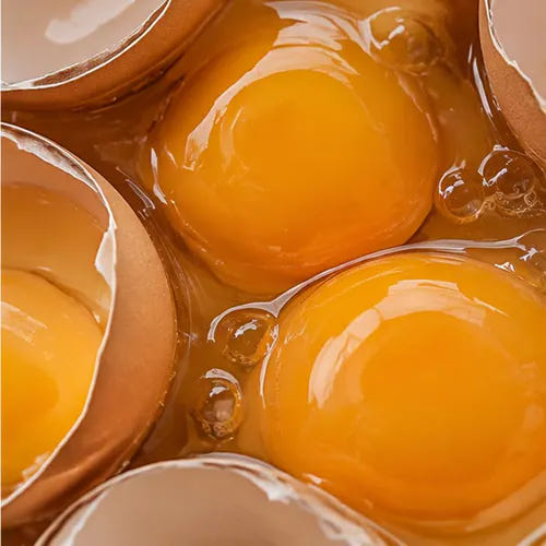 Egg yolk powder