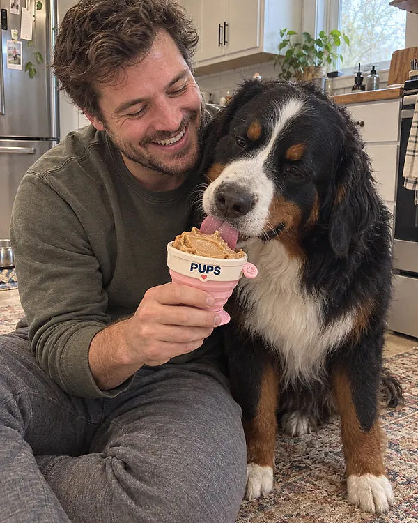 A dog parent giving his Bernese mountain dog a PUPS cup