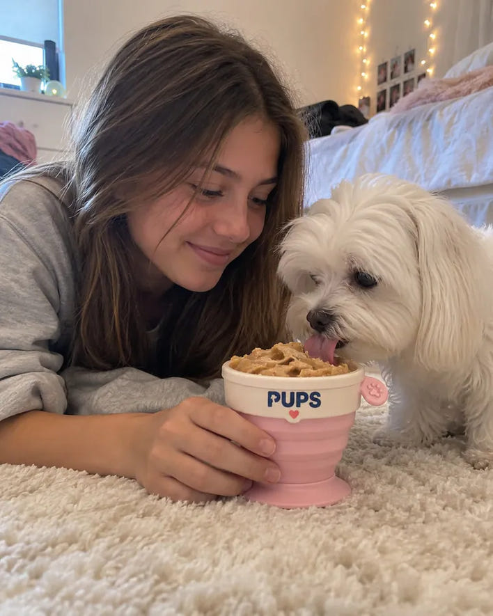 Lulu, maltese