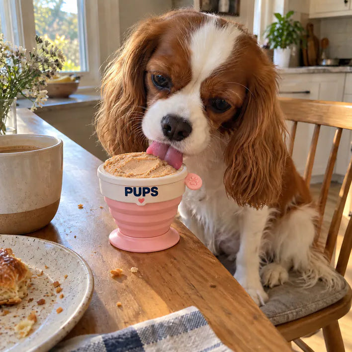 Rosie, cavalier