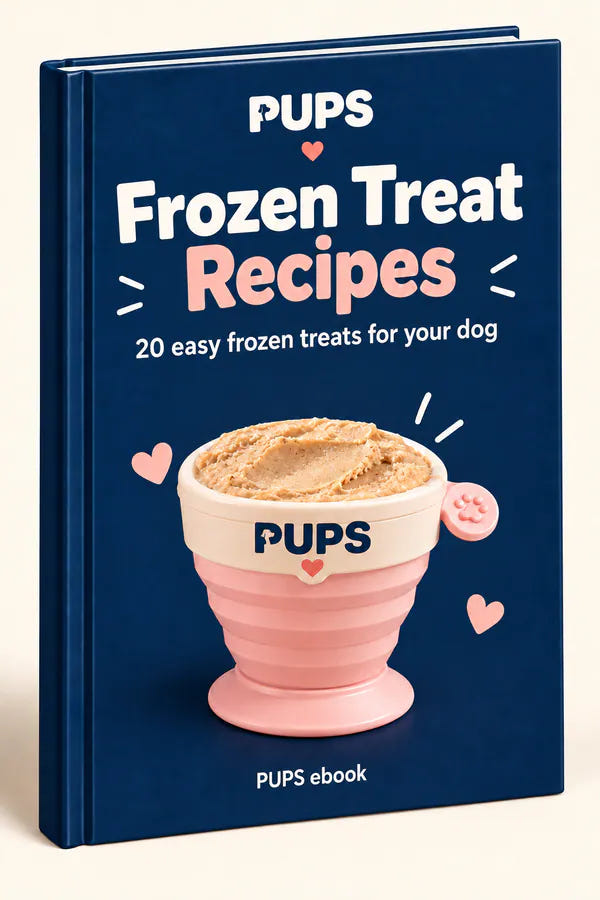 Frozen Treat Recipes ebook cover