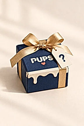 PUPS mystery gift