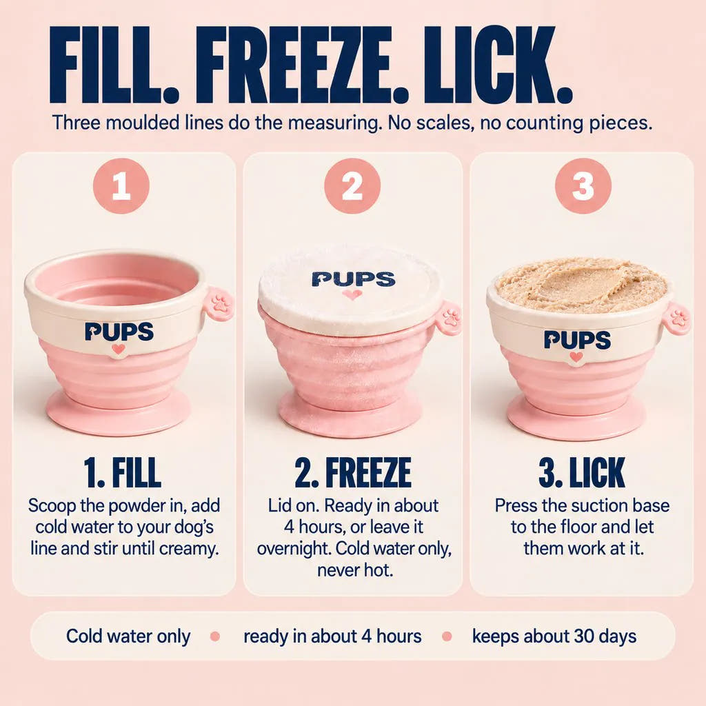 Fill. Freeze. Lick.