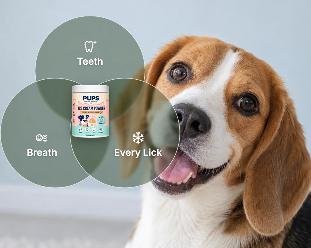 A beagle with three circles: teeth, breath, every lick, around the PUPS tub