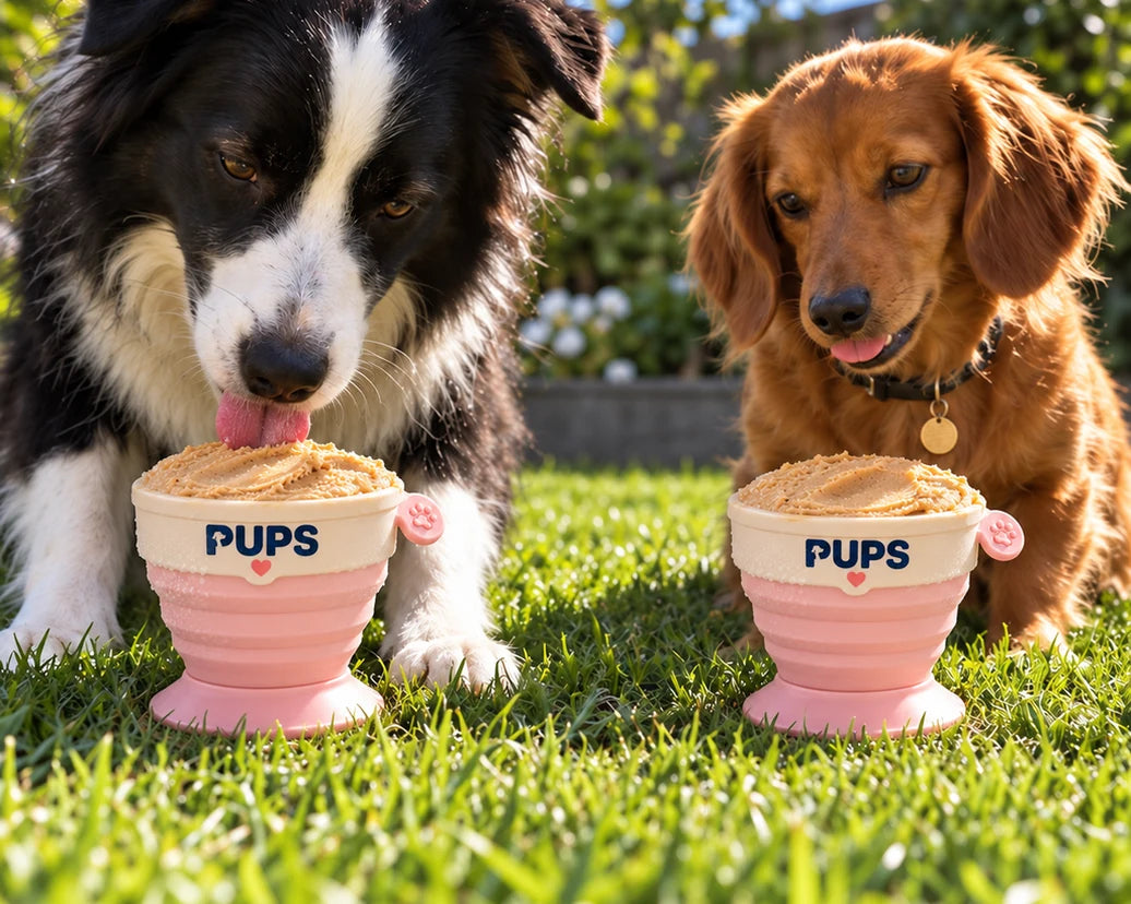 A border collie and a dachshund on a sunny lawn, each licking a PUPS cup of frozen peanut butter ice cream filled to the rim