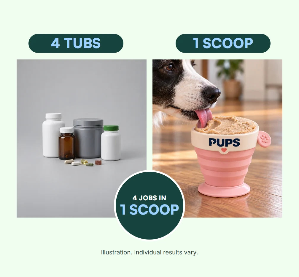 Four supplement bottles and tubs labeled 4 TUBS beside a border collie licking a PUPS cup labeled 1 SCOOP, with a badge reading 4 JOBS IN 1 SCOOP. Illustration. Individual results vary.