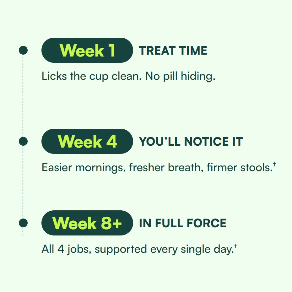 A 3 step timeline. Week 1, TREAT TIME: Licks the cup clean. No pill hiding. Week 4, YOU’LL NOTICE IT: Easier mornings, fresher breath, firmer stools. Week 8+, IN FULL FORCE: All 4 jobs, supported every single day.