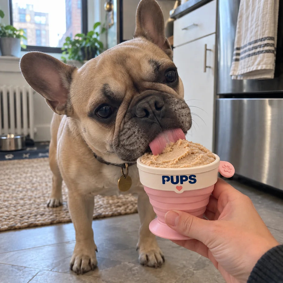 A fawn French bulldog in the kitchen licking a PUPS cup of frozen peanut butter ice cream, filled to the rim, from the owner’s hand