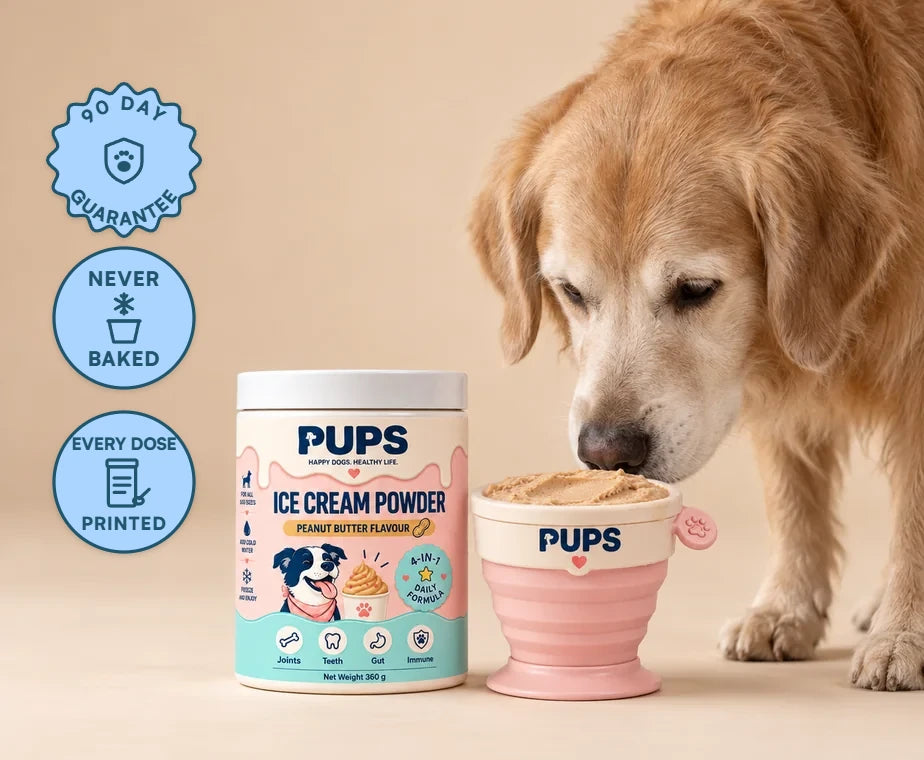 A senior golden retriever with a gray muzzle sniffing a PUPS cup of frozen peanut butter ice cream beside the PUPS Ice Cream Powder tub on a warm beige backdrop, with three badges down the left edge: 90 DAY GUARANTEE, NEVER BAKED and EVERY DOSE PRINTED
