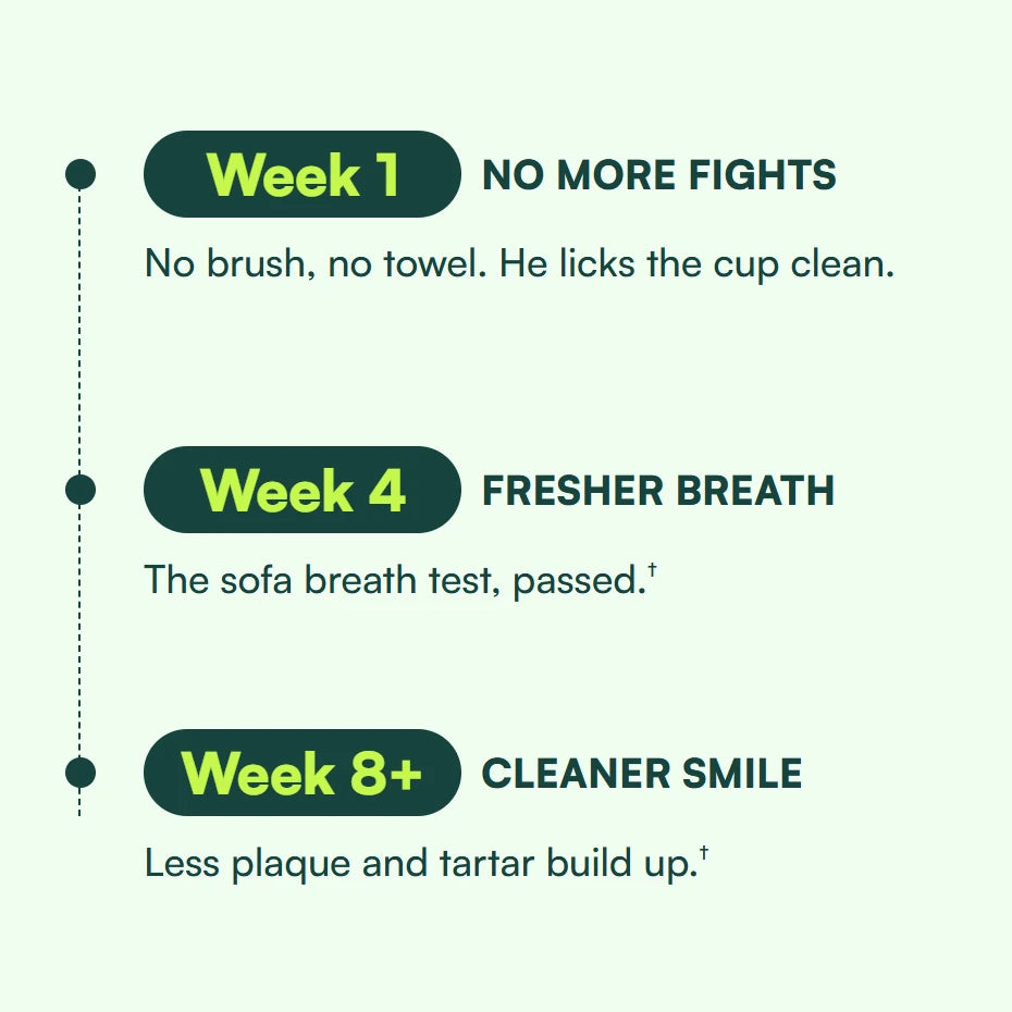 A 3 step timeline. Week 1, NO MORE FIGHTS: No brush, no towel. He licks the cup clean. Week 4, FRESHER BREATH: The sofa breath test, passed. Week 8+, CLEANER SMILE: Less plaque and tartar build up.