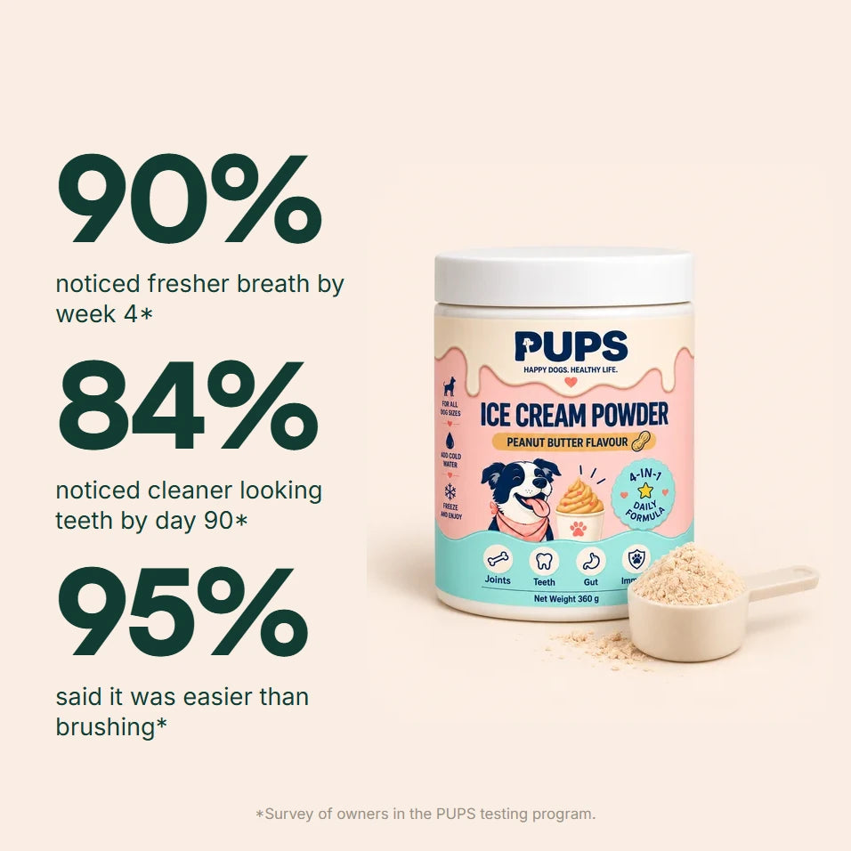 90% noticed fresher breath by week 4, 84% noticed cleaner looking teeth by day 90, 95% said it was easier than brushing, beside the PUPS Ice Cream Powder tub. Survey of owners in the PUPS testing program.